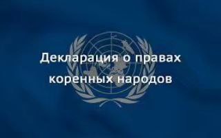Коренные народы имеют право на самоопределение и участие в принятии решений