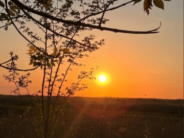 Не потрібно чекати доки росія запропонує якийсь меморандум