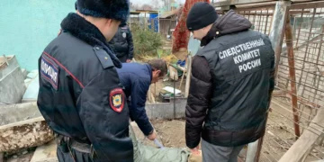 Забрали воевать — вернули убивать. Криминологи из Лондона и Вашингтона обратили внимание на резкий подъем тяжких преступлений в России