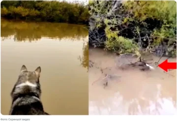 Yakutia feeds the empire — but receives poisoned rivers